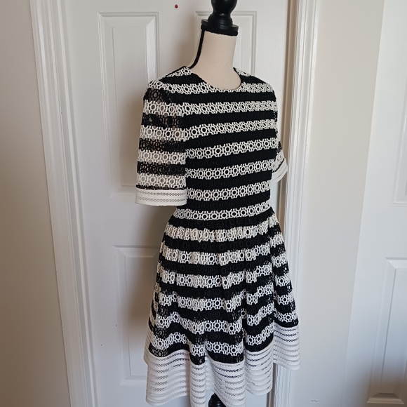 Alexis Amir Striped Crochet Pleated Dress - Picture 4 of 15
